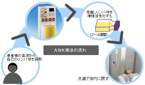 ANK療法の流れ